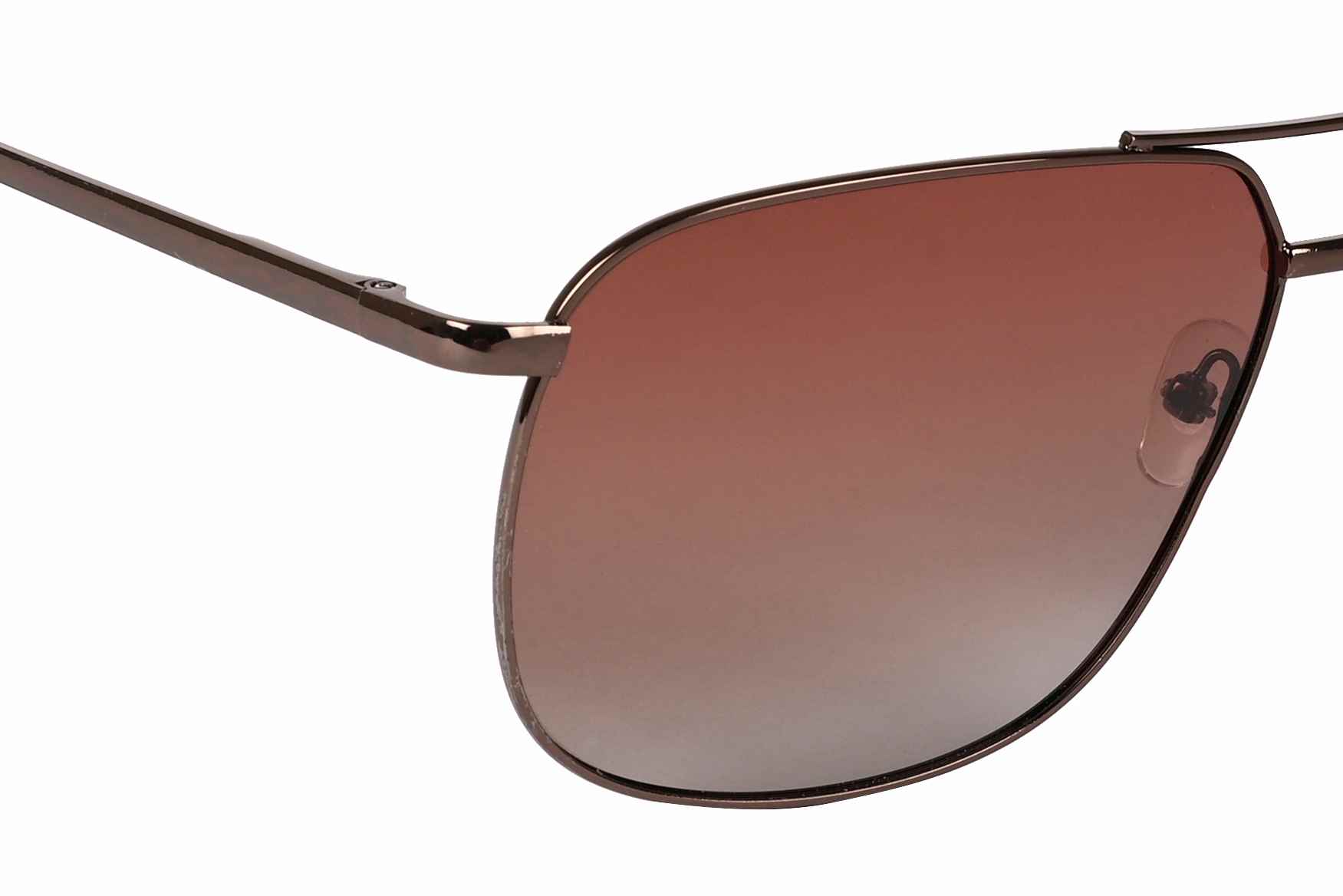 Source SH3248 Brown